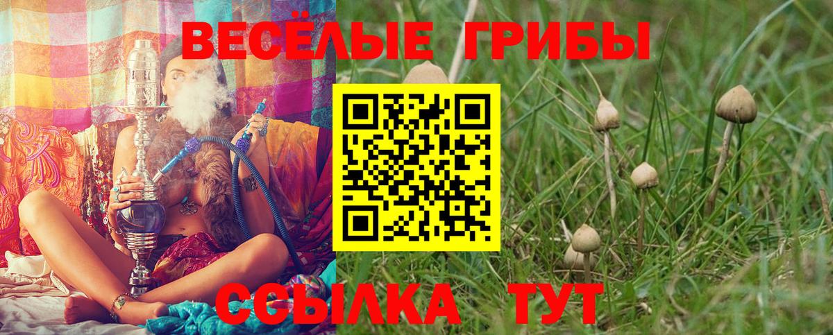 Псилоцибиновые грибы ЛСД Тында