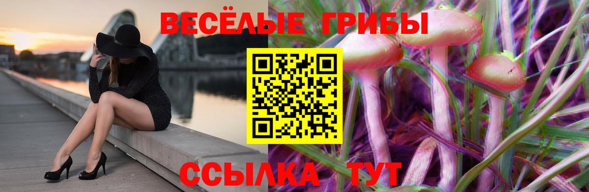 Псилоцибиновые грибы мухоморы  Вход с VPN  Тында 
